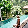 <a href="https://aladdintravel.if.ua/krainy/indoneziia/">Індонезія</a>